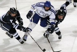 乒乓球拍怎么选红双喜？如何选红双喜乒乓球拍？